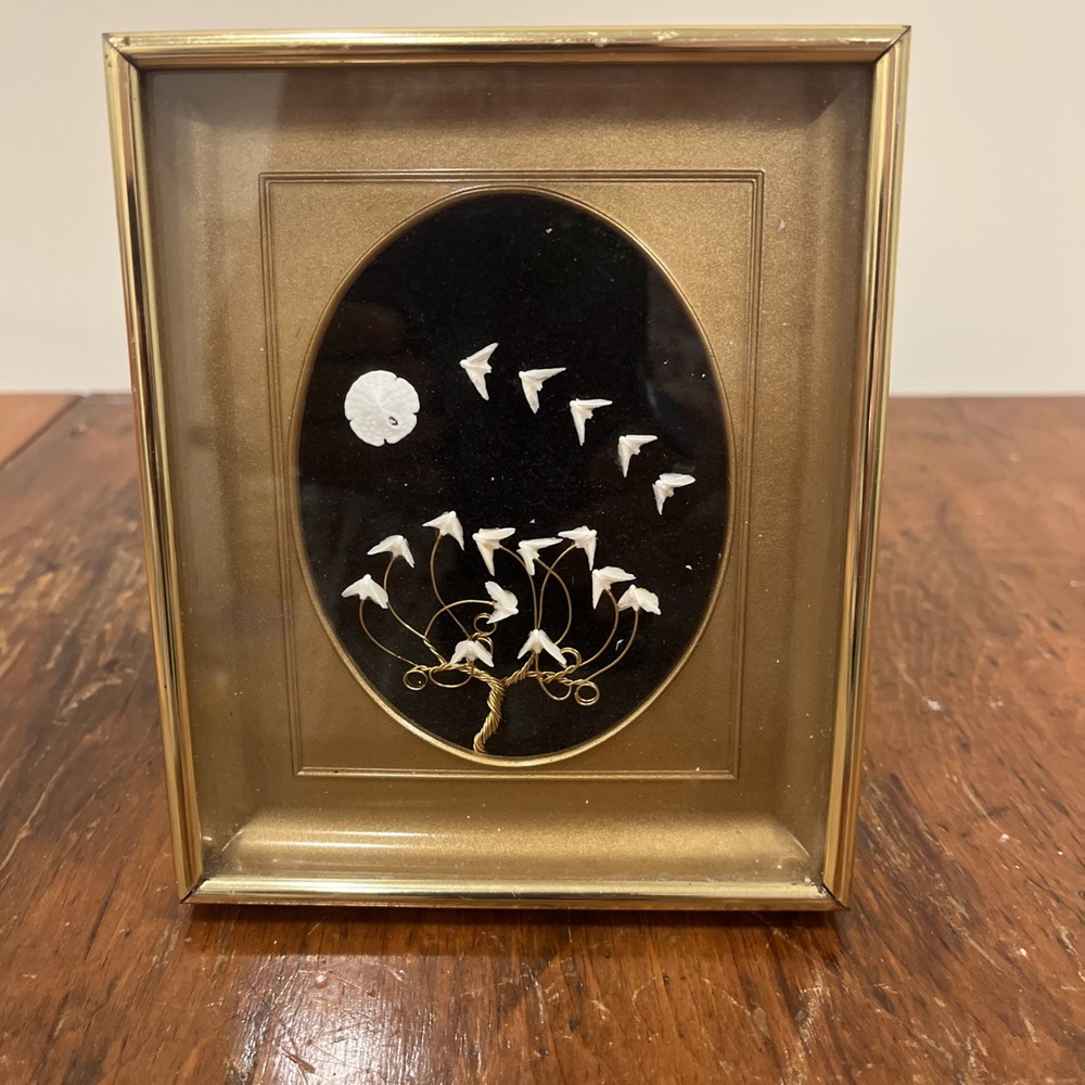 Vintage Framed Sand Dollar Sea Shell With Peace Doves Wire Tree 6" x 8"